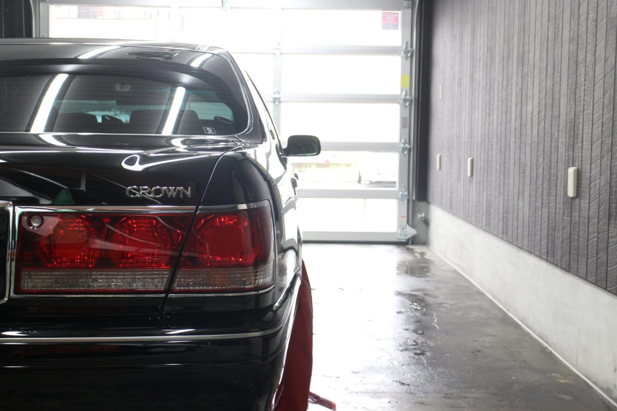 もう少し近くで見てくれない❓