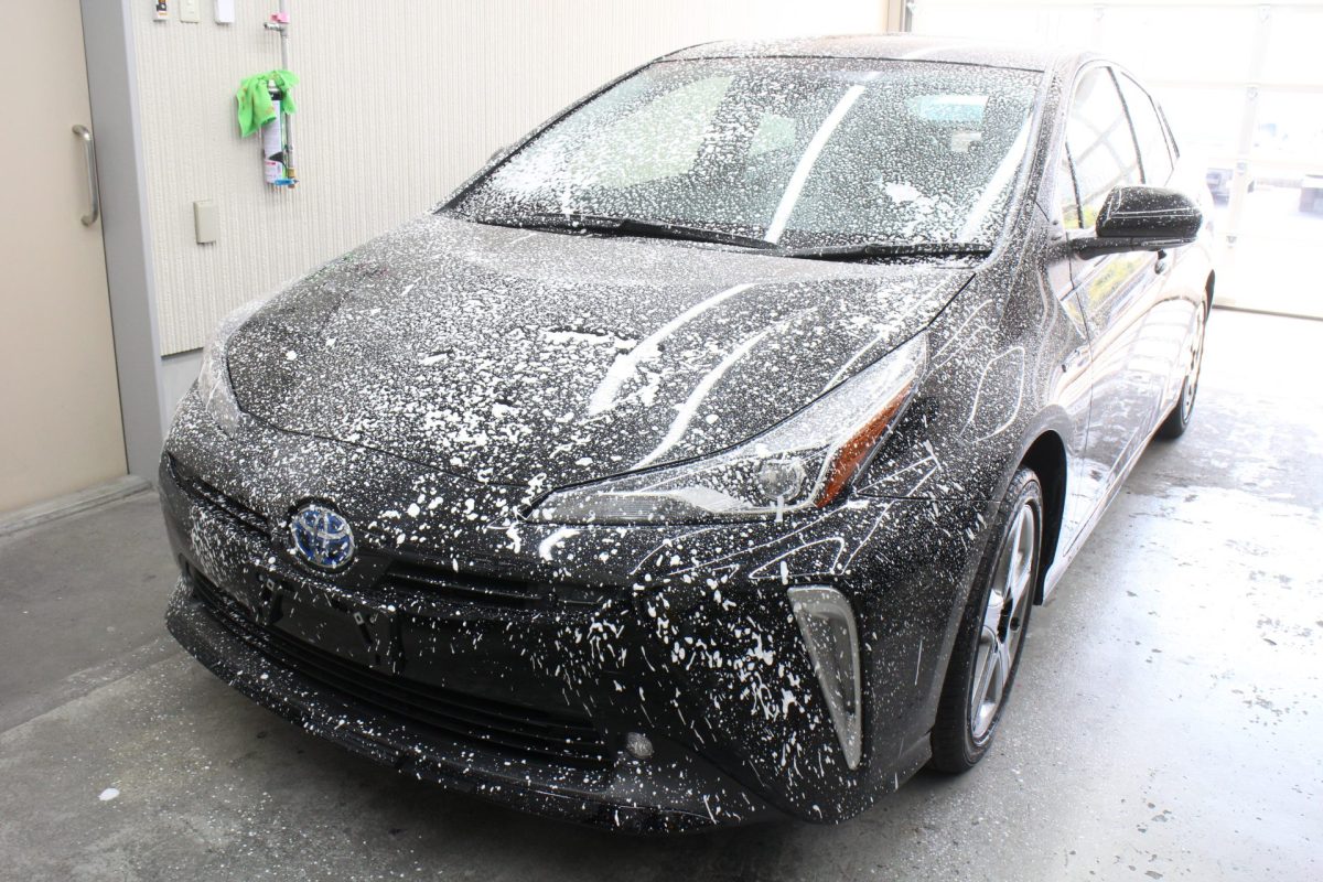 朝こそ寒いが日中は