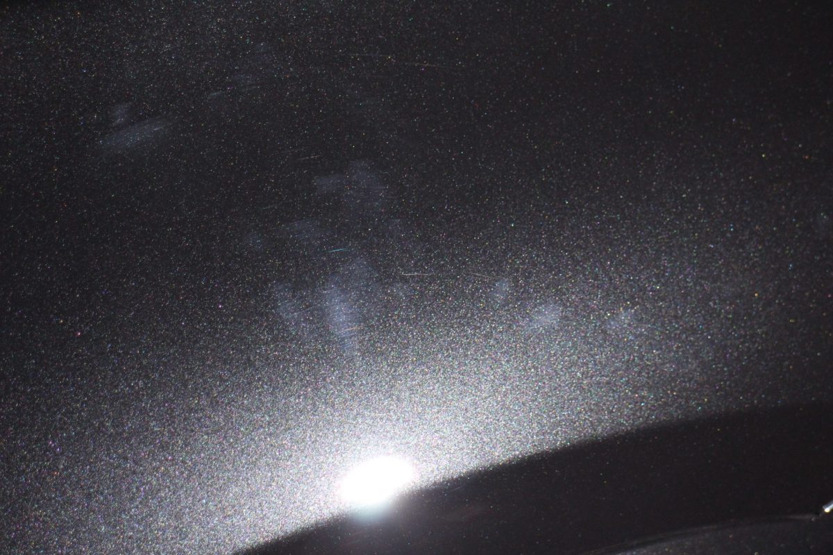 新車だからこそ