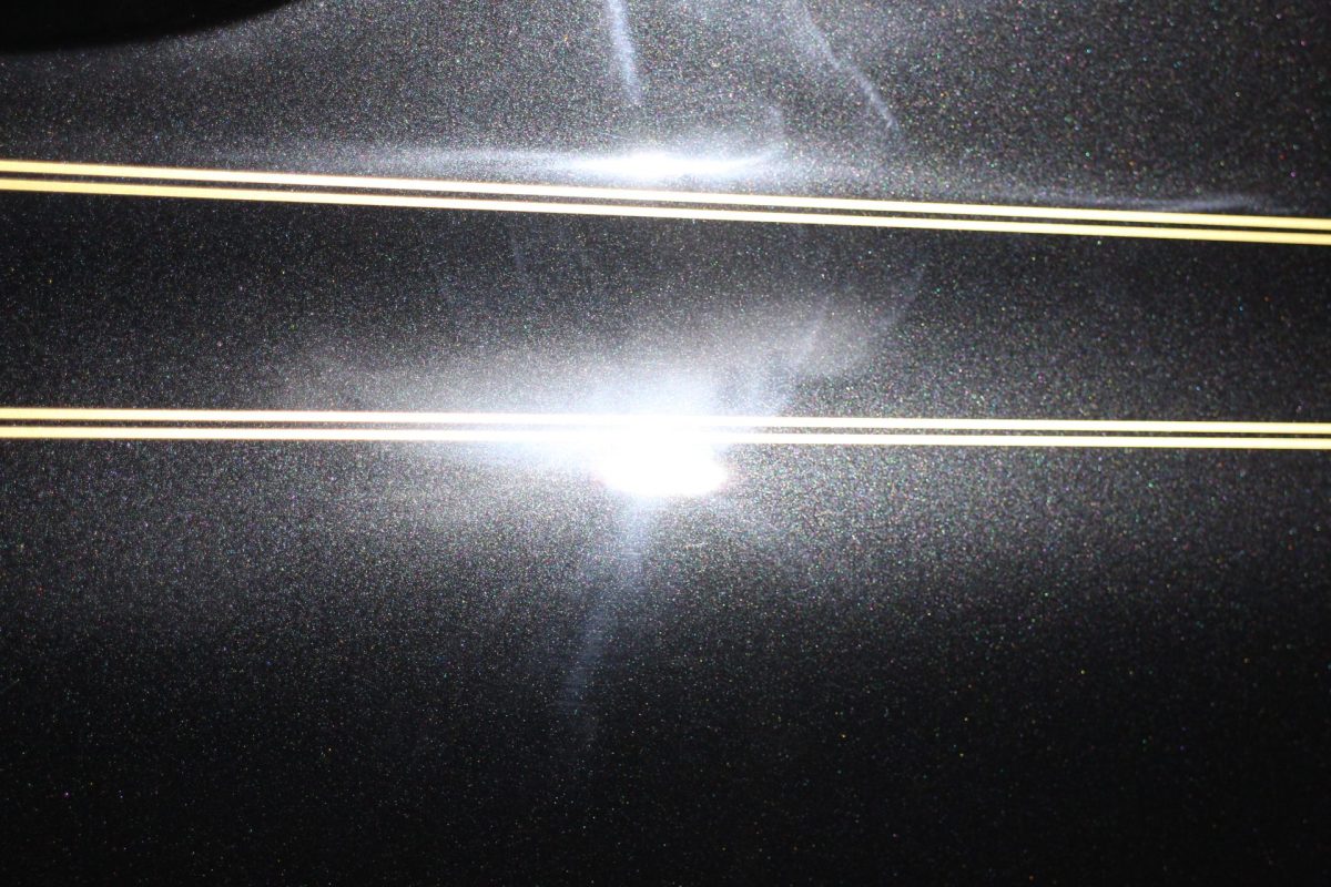 杖の下に回る犬は打てぬ