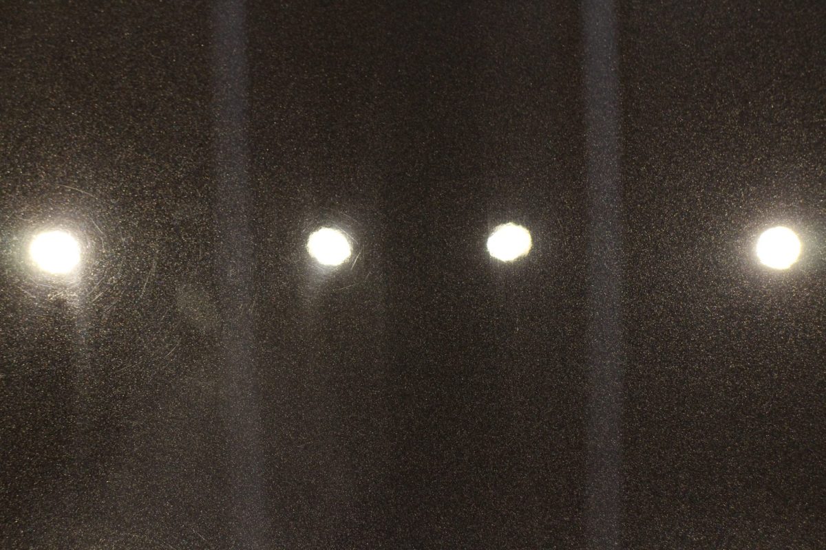 後から剝げる正月言葉