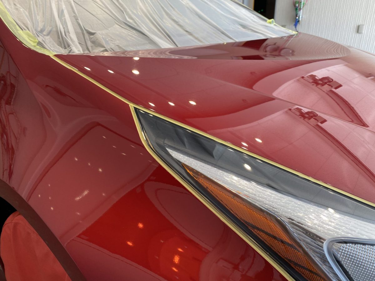 蟹は甲羅に似せて穴を掘る