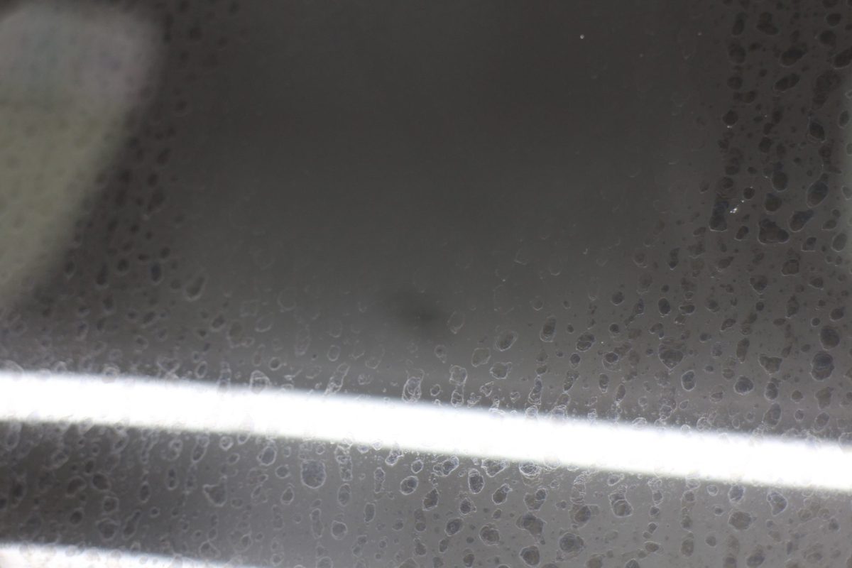 秋の雨が降れば猫の顔が三尺になる