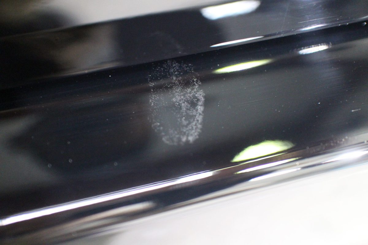 豚に念仏、猫に経