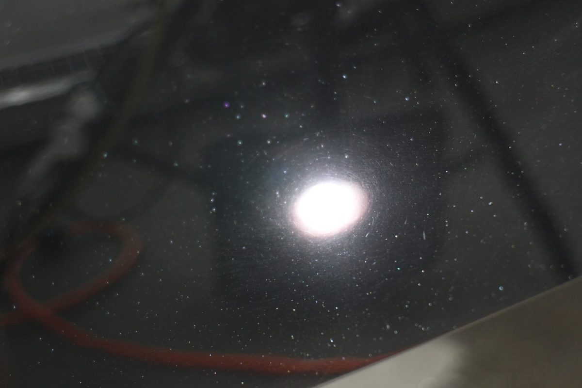 小さく生んで大きく育てる