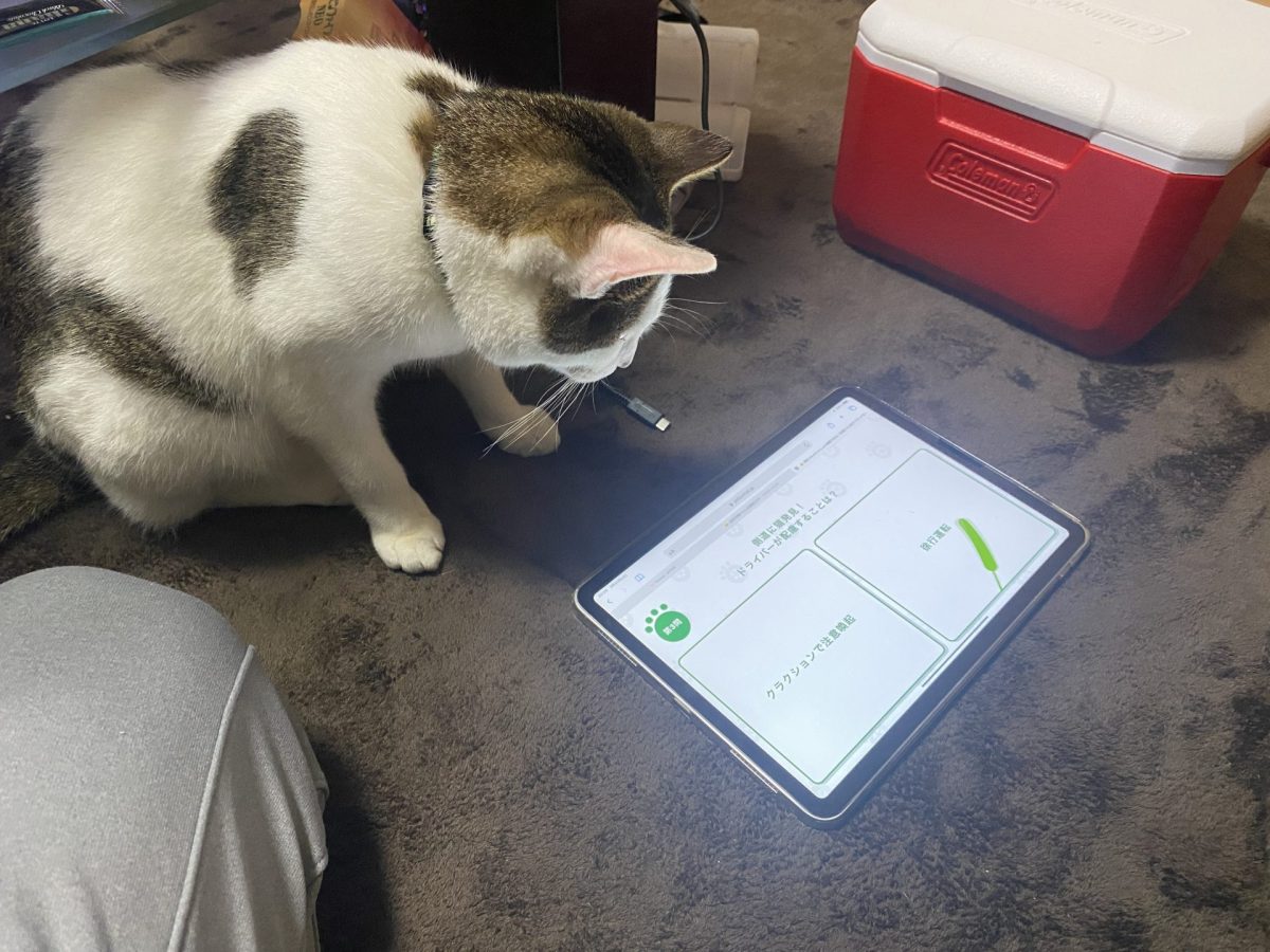 全国交通にゃん全運動2021