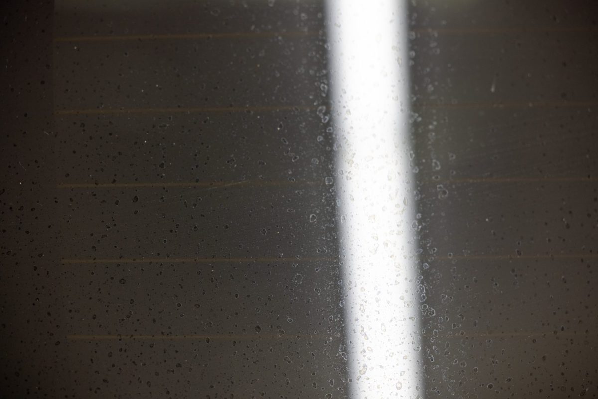 預かり物は半分の主