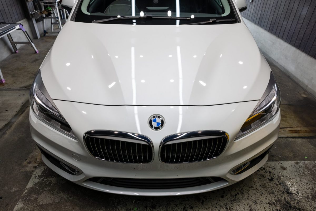 鵜の真似をする烏