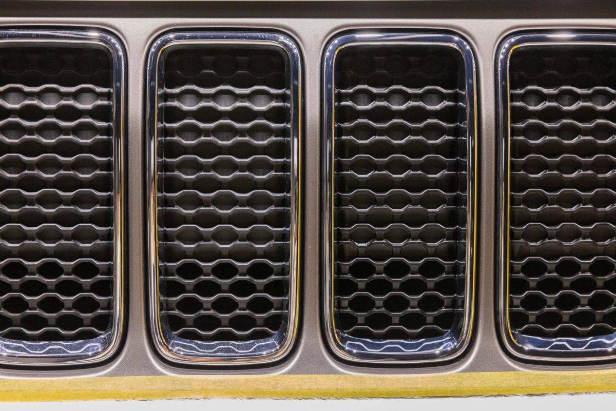 一輪咲いても花は花