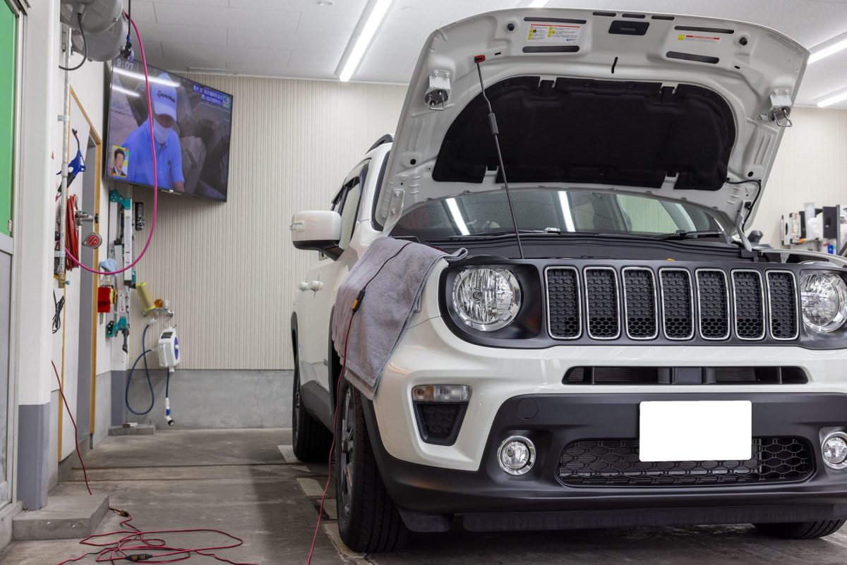 フェンダーカバー