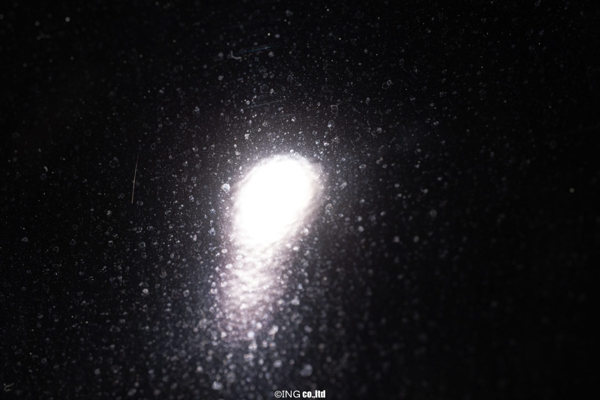 悪いようにはしない