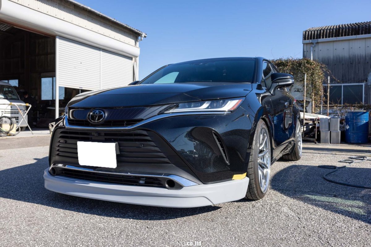 虎穴に入らずんば虎子を得ず