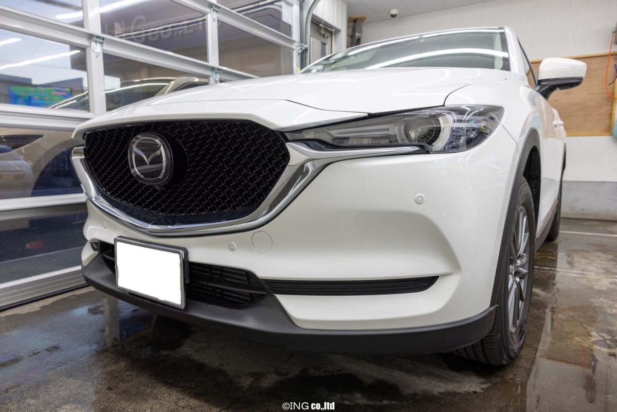 往時渺茫としてすべて夢に似たり