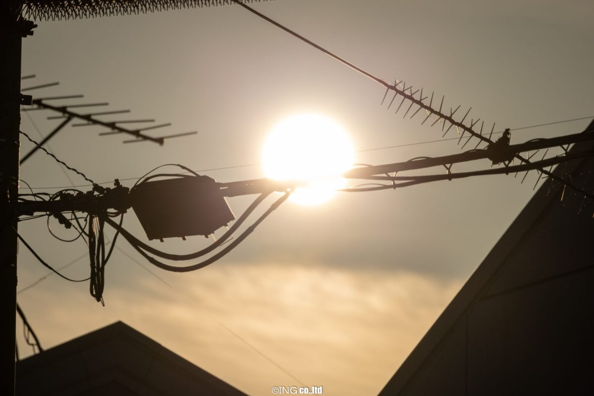 薊の花も一盛り