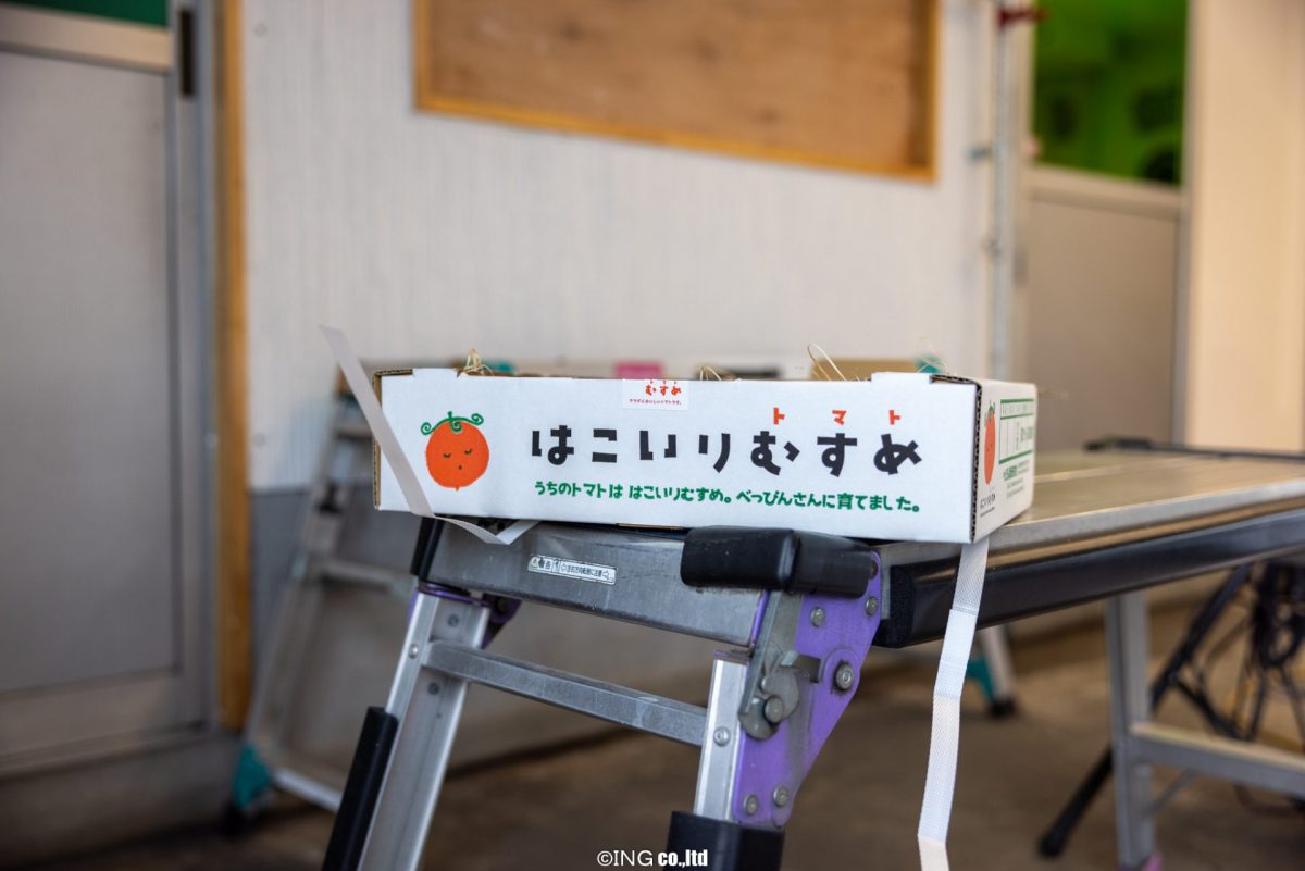 はこいりむすめ