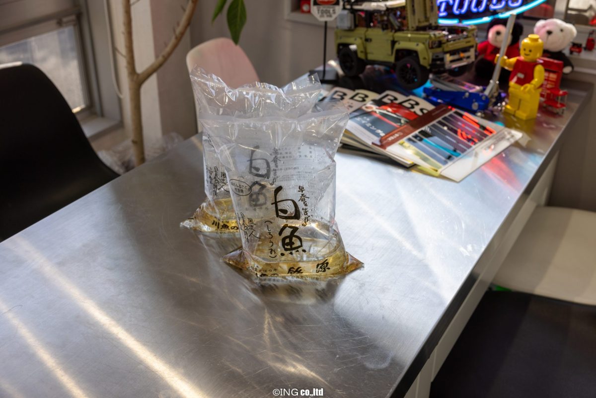 シロウオの躍り食い