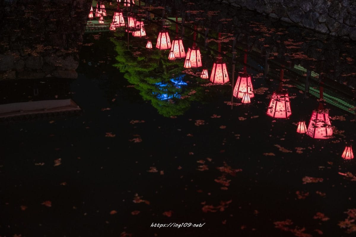 高級コーティング専門店