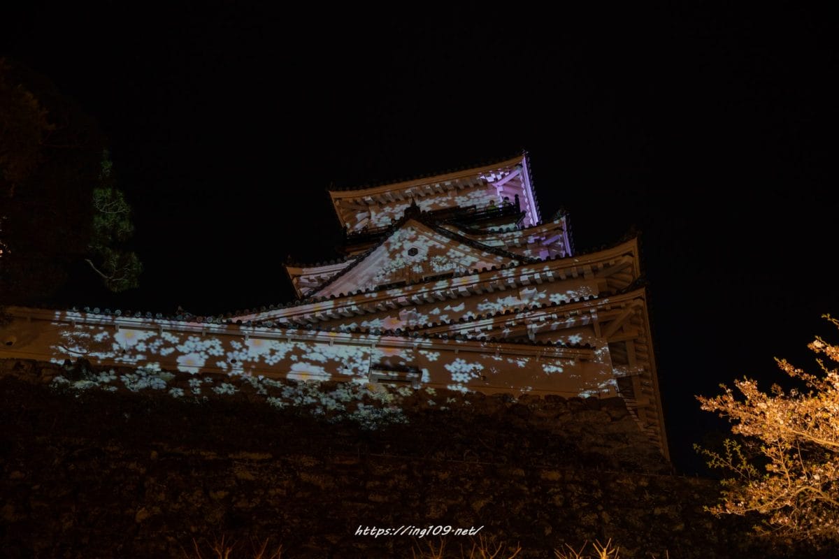 高知城　花回廊2022