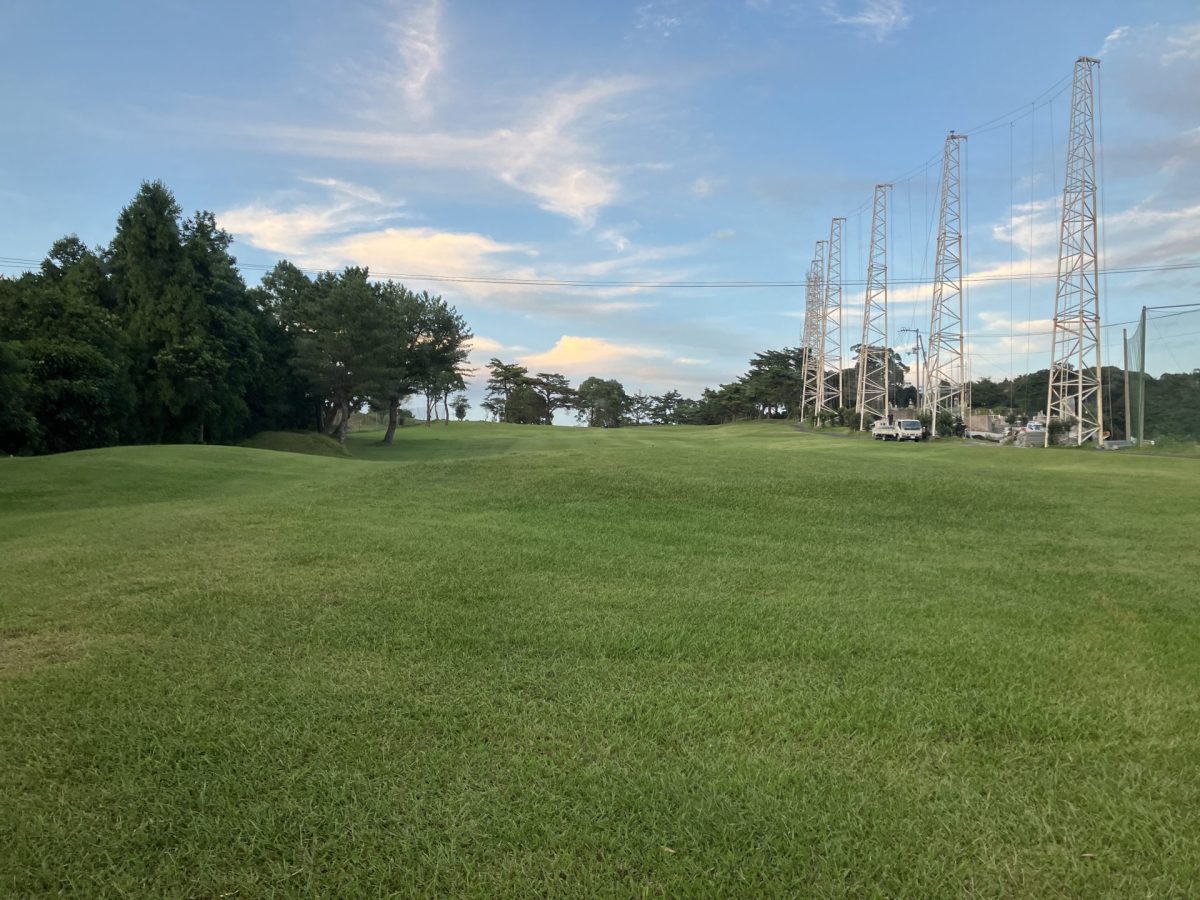 塗り箸で素麺を食う
