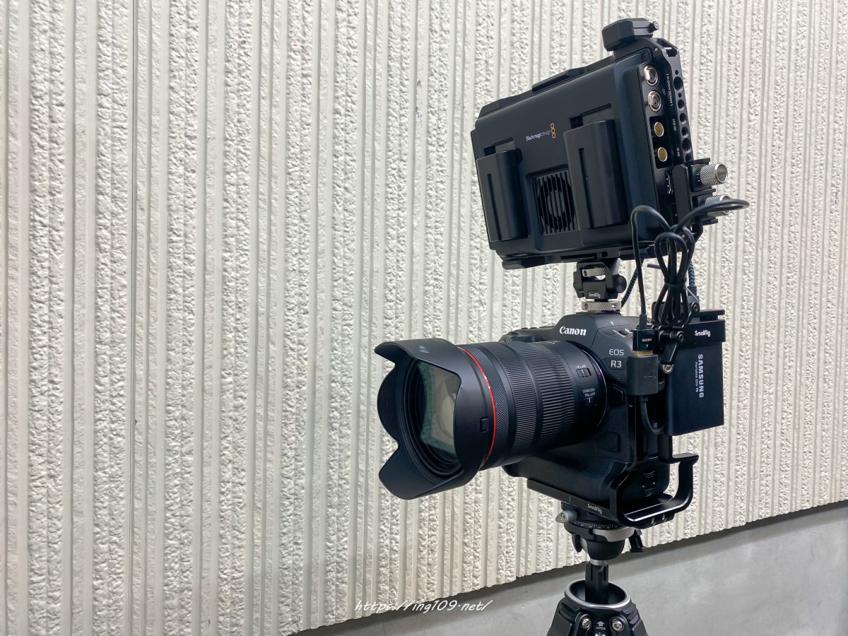 Blackmagic Video Assist