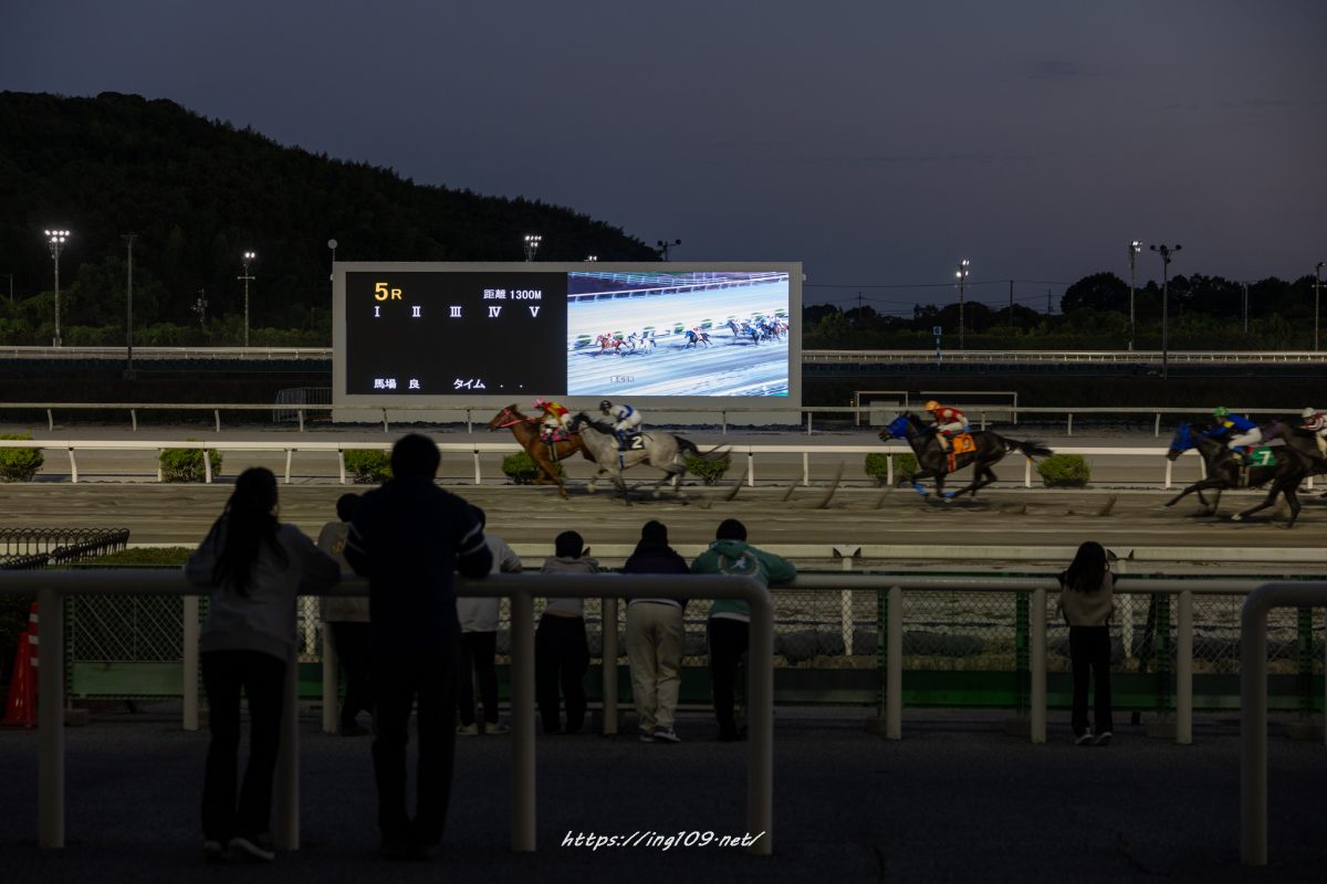 夜さ恋ナイター