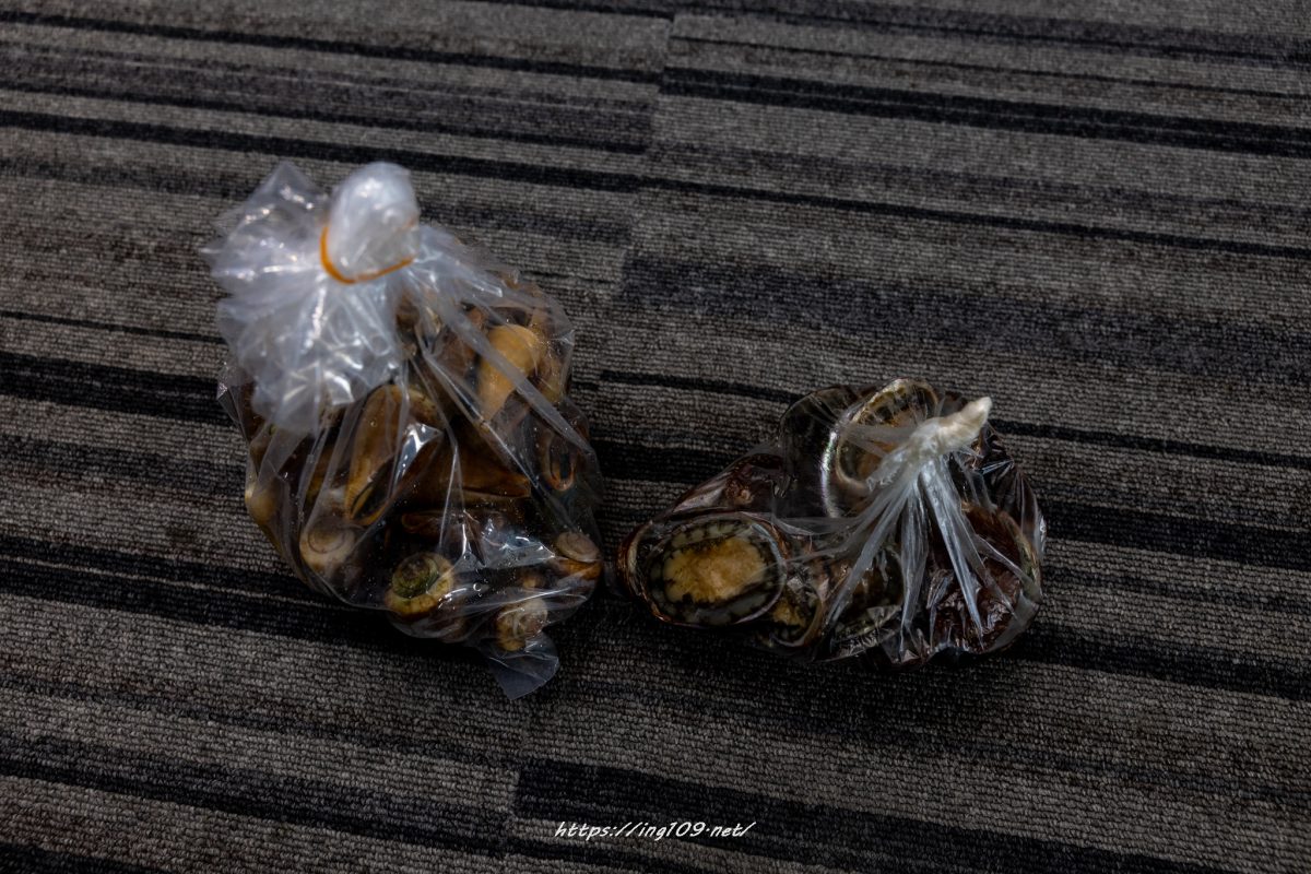 鯛も一人では旨からず