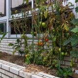 過つは人の性、許すは神の心