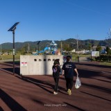 十日の菊、六日の菖蒲