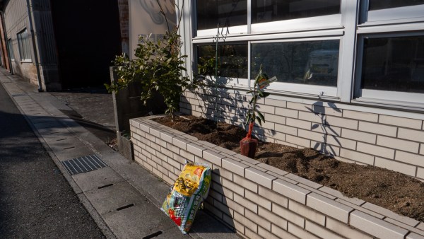 せとか